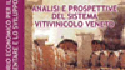 Analisi e prospettive del sistema vitivinicolo veneto