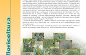 Piante mediterranee in Pianura Padana