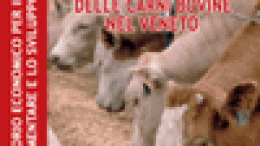 Analisi economica del comparto delle carni bovine nel Veneto