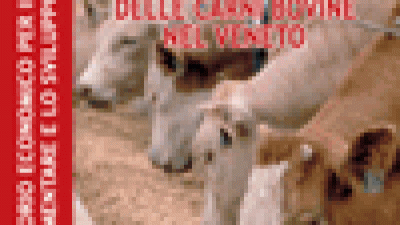 Analisi economica del comparto delle carni bovine nel Veneto