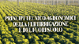 Principi tecnico-agronomici della fertirrigazione del fuori suolo