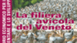 La filiera avicola del Veneto
