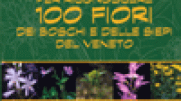 Piccola guida per riconoscere 100 fiori dei boschi e delle siepi del Veneto