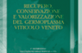 Recupero, conservazione e valorizzazione del germoplasma viticolo veneto