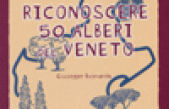 Piccola guida per riconoscere 50 alberi del Veneto