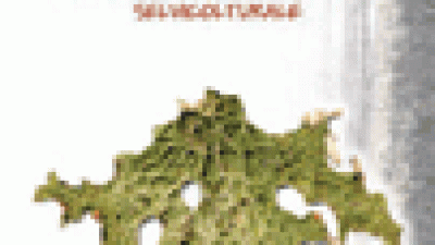 Licheni del Cansiglio