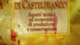 Il radicchio variegato di Castelfranco