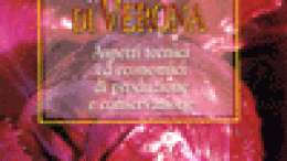 Il radicchio rosso di Verona