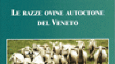 Le razze ovine autoctone del Veneto