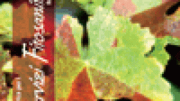 La Flavescenza dorata in Veneto dal 1994 al 2004