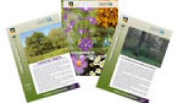 La biodiversità ha fatto centro