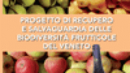 Progetto di recupero e salvaguardia delle biodiversità frutticole. Quaderno n°1