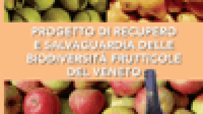 Progetto di recupero e salvaguardia delle biodiversità frutticole. Quaderno n°1
