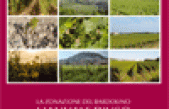 La zonazione del Bardolino – Manuale d’uso del territorio