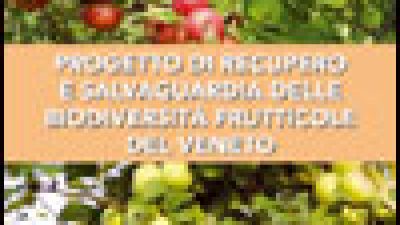 Progetto di recupero e salvaguardia delle biodiversità frutticole del Veneto – Quaderno n.2