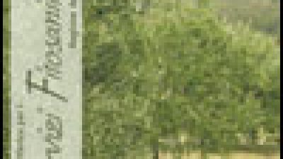 Avversità dell’olivo