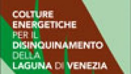 Progetto Biocolt – Colture energetiche per il disinquinamento della laguna di Venezia