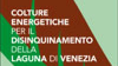 Progetto Biocolt – Colture energetiche per il disinquinamento della laguna di Venezia