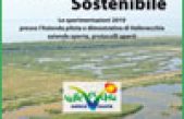 Agricoltura Sostenibile – Le sperimentazioni 2010 presso l’Azienda pilota e dimostrativa di Vallevecchia azienda aperta, protocolli aperti