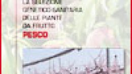 Schede di aggiornamento 2010 – Manuale Pesco