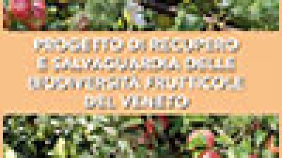 Progetto di recupero e salvaguardia delle biodiversità frutticole del Veneto