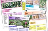 Recupero, conservazione  caratterizzazione di biodiversità in orticoltura