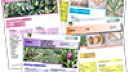 Recupero, conservazione  caratterizzazione di biodiversità in orticoltura