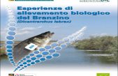 Esperienze di allevamento biologico del Branzino (Dicentrarchus labrax)