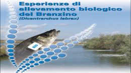 Esperienze di allevamento biologico del Branzino (Dicentrarchus labrax)