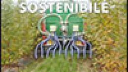 Gestione dell’azoto e altre sperimentazioni 2011 per l’Agricoltura Sostenibile – Azienda Pilota e Dimostrativa “Diana”