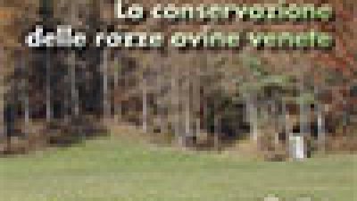 La conservazione delle razze ovine venete