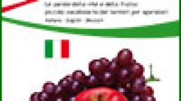 Le parole della vite e della frutta: piccolo vocabolario dei termini per operatori