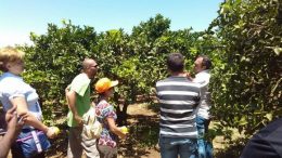 L’innovazione nelle imprese agricole – usi nuovi della conoscenza (AA.VV – libro – aprile 2012)