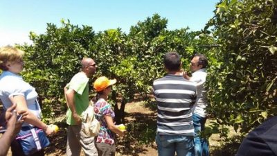 L’innovazione nelle imprese agricole – usi nuovi della conoscenza (AA.VV – libro – aprile 2012)