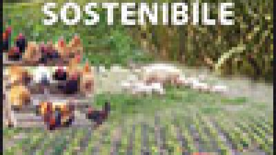 Agricoltura sostenibile – Le sperimentazioni 2012 presso l’azienda pilota e dimostrativa Sasse Rami – Azienda aperta, protocolli aperti (2012|opuscolo disponibile on line|cod. E479)