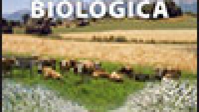 Agricoltura biologica – Le sperimentazioni 2012 presso l’Azienda pilota e dimostrativa Villiago – azienda aperta, protocolli aperti (2012|opuscolo disponibile on line|cod. E480)