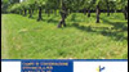 Campo di conservazione vitivinicola per la raccolta del germoplasma/biotipi di cultivar di viti per uva da vino dell’area del Veneto orientale