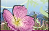 Il Giardino Botanico Alpino  “G. G. Lorenzoni ” – Pian Cansiglio