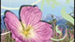 Il Giardino Botanico Alpino  “G. G. Lorenzoni ” – Pian Cansiglio