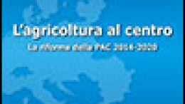 Quaderno Europe Direct Veneto n. 15