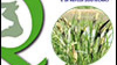 La fitodepurazione per il trattamento di acque di origine agricola e di reflui zootecnici
