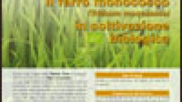 Il farro monococco (Triticum monococco) in coltivazione biologica