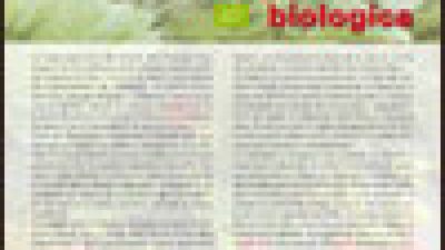 La fragola in coltivazione biologica