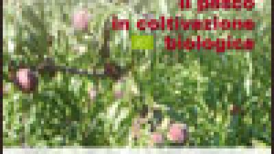 Il pesco in coltivazione biologica