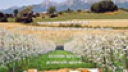 Sperimentazioni 2014 per l’ Agricoltura biologica – Azienda pilota e dimostrativa “Villiago” – Aziende aperte protocolli aperti