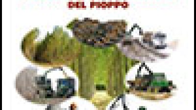 La raccolta meccanizzata del pioppo – Manuale di campo