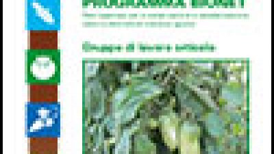 Programma BIONET (Rete regionale per la conservazione e caratterizzazione della biodiversità di interesse agrario) – Gruppo di lavoro orticolo