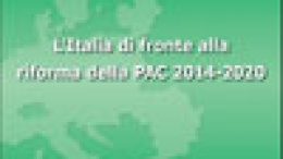 Quaderno Europe Direct n. 16 (2014) opuscolo disponibile on-line