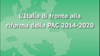 Quaderno Europe Direct n. 16 (2014) opuscolo disponibile on-line