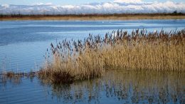 Expo Aquae 2015, l’acqua e il paesaggio